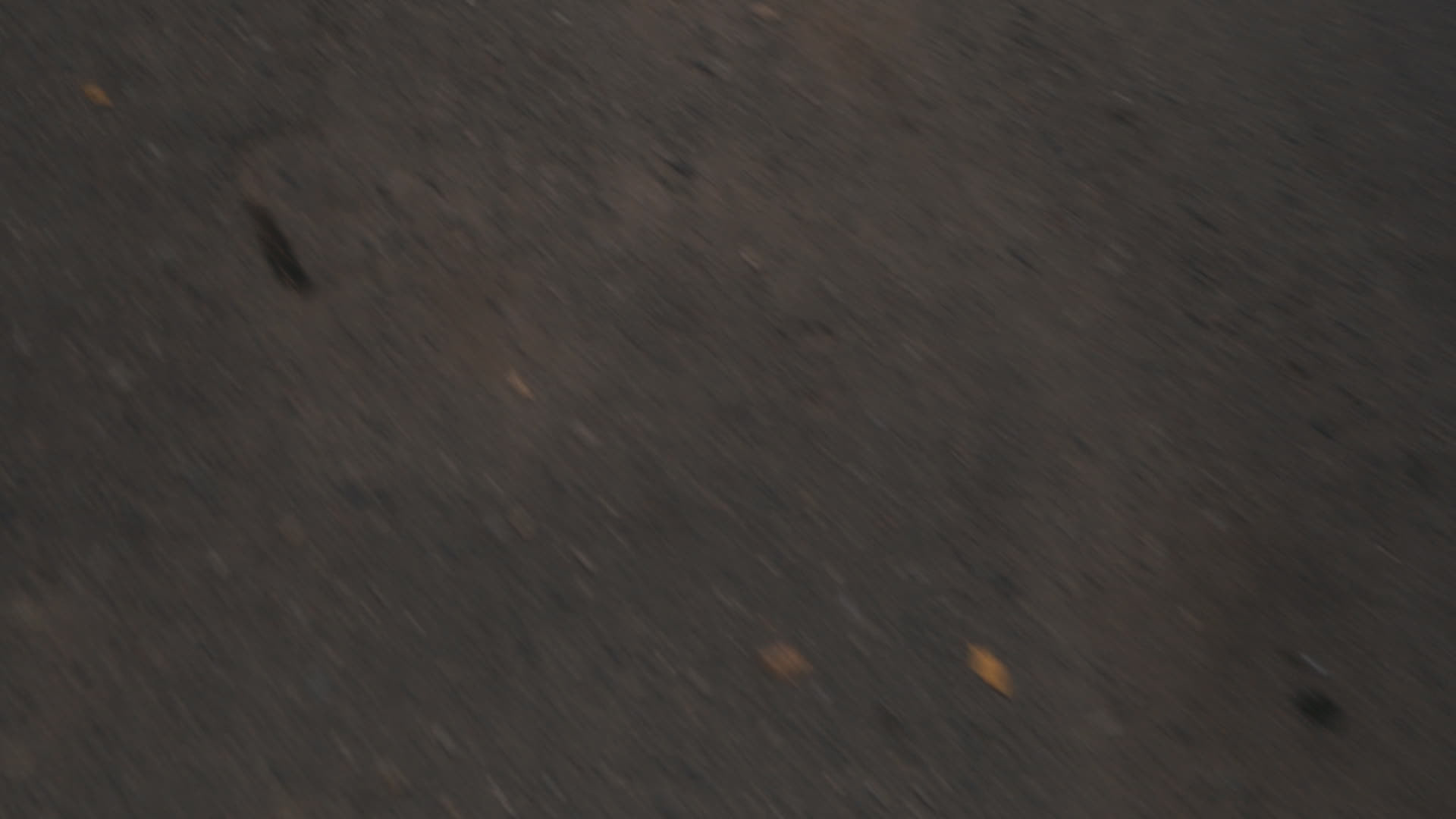 Keyframe: ZV-E1 20251102_0566